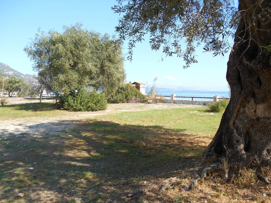 Tatil Evi Lukia Mare