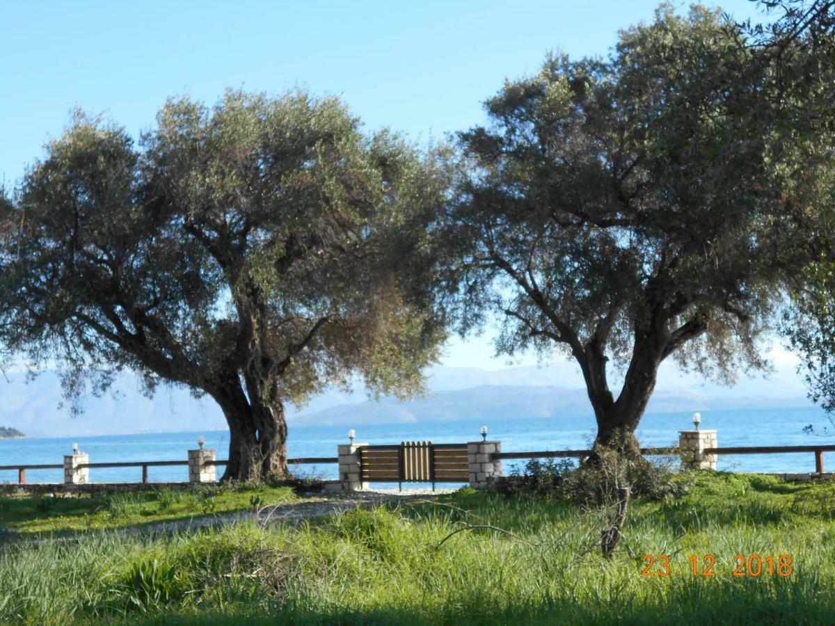 Lukia Mare Tatil Evi Barbati